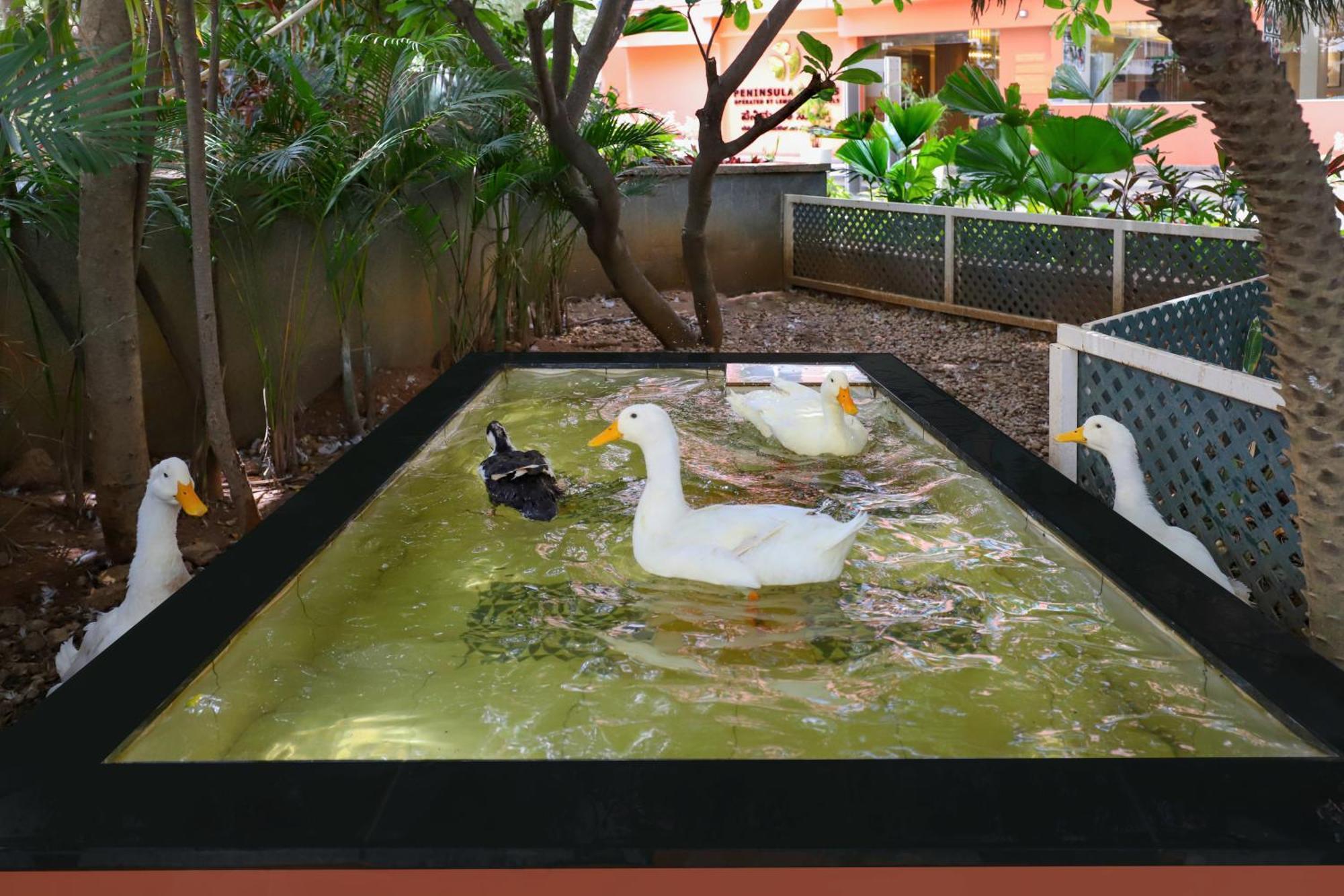 Lemon Tree Suites, Whitefield, Bengaluru Экстерьер фото